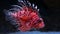 Lion fish in aquarium with dark background