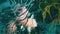 Lion fish or scorpion fish close up of colourful venomous & poisonous tropical fish