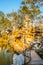 Lion Forest Garden-Taihu rockery in the sunset