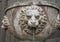 Lion fountain with water stream from lion`s mouth, Seattle Washington