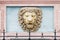 Lion Head Colored High-Relief