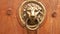 Lion Head Door Handle. Old Door Knob