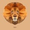 Lion head illustration logo design