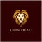 Lion head logo design with a Dashing face Vector Template Illustration