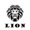 Lion head. Logotype of vector template. Creative illustration.