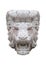 Lion Head Stone Isolated Sculpture