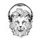 Lion head on a white background. Lion in the headphones