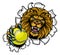 Lion Holding Tennis Ball Breaking Background