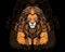 lion king logo with big muscle arms fitness logo, gym , muscle lion, hairy lion logo Vector eps file