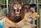 Lion and Leopard on carousel ride