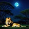 lion lies in the savannah at night in the background is a