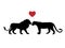 Lion and lioness love predator black silhouette animal