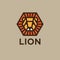 Lion logo. The golden head of a lion with rays like the sun. Kids wear hexagon logo.