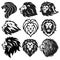 Lion Logo Set Collection. Premium Design Vector Illustration Icon