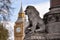 Lion looking at Big Ben clock, London, UK