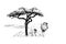 Lion male near a tree in africa. Hand drawn illustration