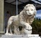 Lion marble sculpture