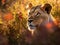 Lion in the meadow. king of the forest. Generative Ai