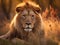 Lion in the meadow. king of the forest. Generative Ai