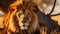 Lion portrait on savanna safari photography lighting landscape image, Generated AI