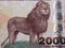 Lion a portrait from Tanzanian money