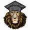 Lion. Portrait of wild lion. Square academic cap, graduate cap, cap, mortarboard. Safari animal head.