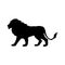 Lion predator black silhouette animal