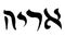 The lion, Rastafarian symbol word Lion in Hebrew.