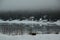 Lion`s Head harbour with melting ice and seagulls on the bay ref