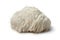 Lion\'s mane mushroom