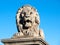 Lion sculpture on Chain Bridge in Budapest, capital city of Hungary