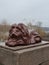 Lion sculpture on the flotskiy boulevard close to Main Square, Mykolaiv