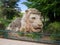 Lion sculpture in the Ifrane city, Middle Atlas, Morocco