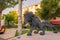 Lion Sculpture made with scrap tire in front of Cascade Complex