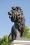 Lion Sculpture, Maiwand War Memorial, Reading