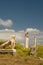 Lion statue at Delos temple, Greece