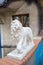 Lion statue - detail of Hundertwasser house in Vienna, Austria