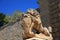 Lion Statue at the main gate of ancient Mdina city. Malta