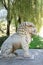 Lion statue on the Ming Tomb Alley, China