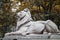 Lion Statue New York Public Library