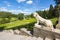 Lion statue in Pavlovsky park, Pavlovsk, St. Petersburg, Russia