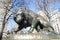 Lion Statue in Rittenhouse Square Philadelphia