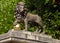 Lion Statue on Royal Avenue in Bath