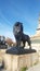 Lion statue under the monument of columbus