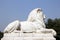 Lion Statue at Victoria Memorial Gate, Kolkata