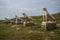 Lion statues at the archaeological island of Delos