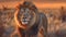 lion in the steppe of africa at sundown