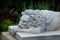 Lion Stone Statue