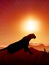 Lion on Sunset Background