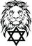 The Lion and the symbol of Judaism - star of David, Megan David